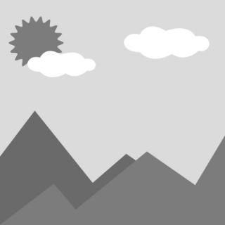 Perkins Cylinder head assembly TPN488 For Diesel engine